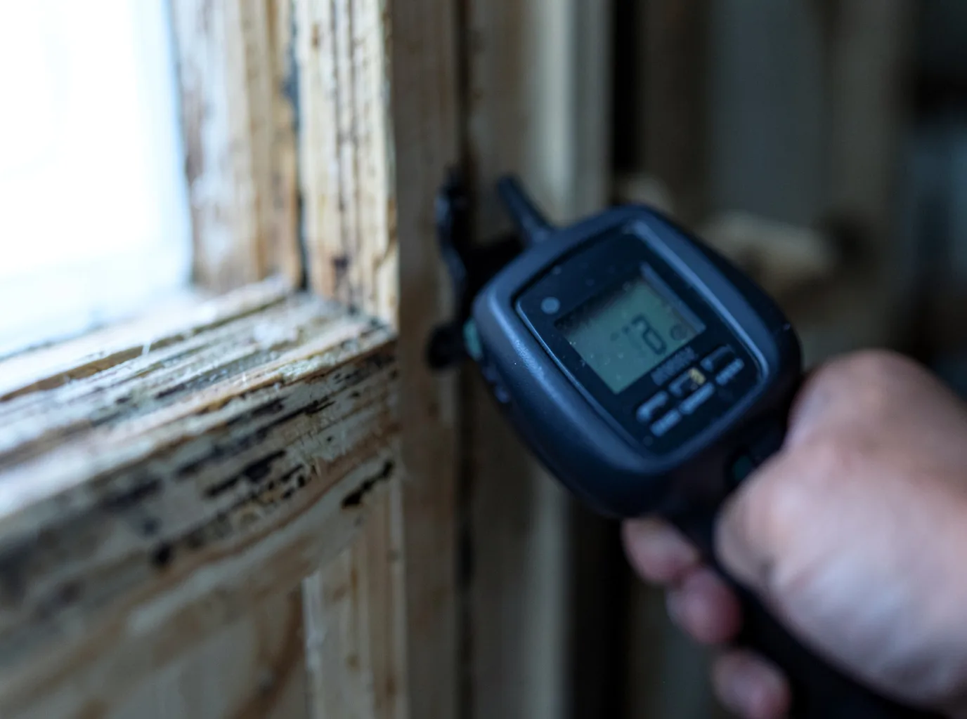 Commercial Water Damage Restoration in Valyermo, CA